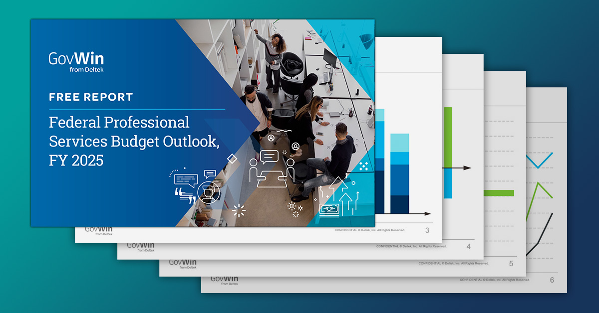 Get an Edge in the Federal Professional Services Market 